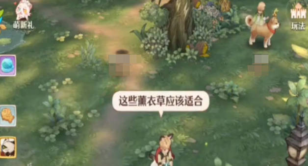《森之国度》隐身猫位置 《森之国度》隐身猫在哪里能找到 《森之国度》隐身猫位置 《森之国度》隐身猫在哪里能找到