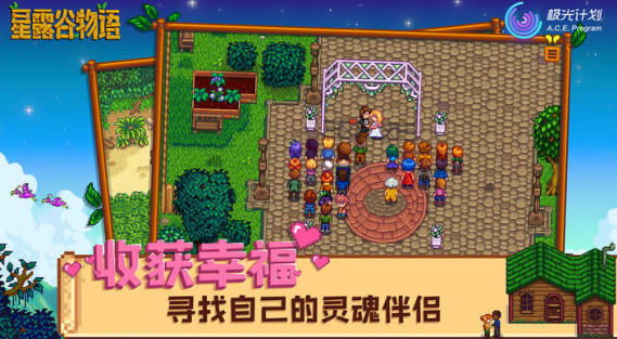 《星露谷物语》攻略大全 《星露谷物语》平民攻略 《星露谷物语》攻略大全 《星露谷物语》平民攻略
