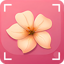 识花君植物识别