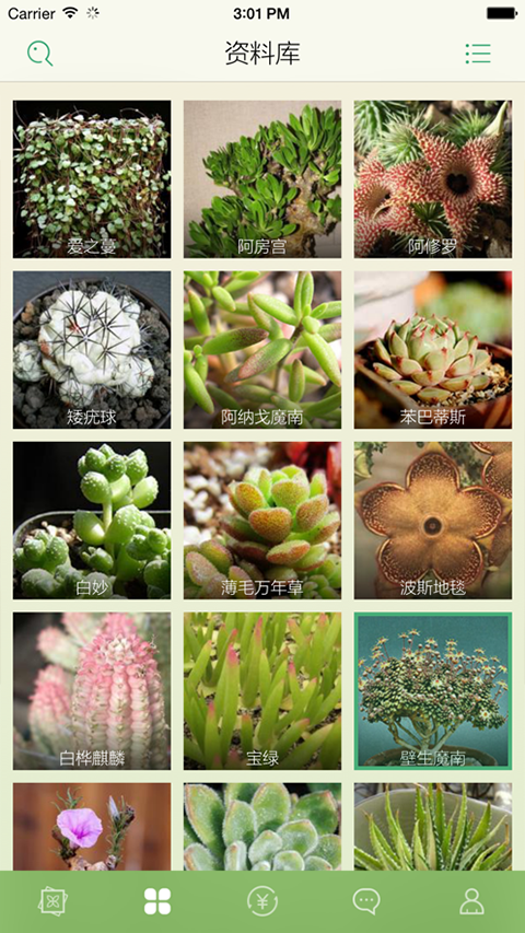 好多肉app苹果版