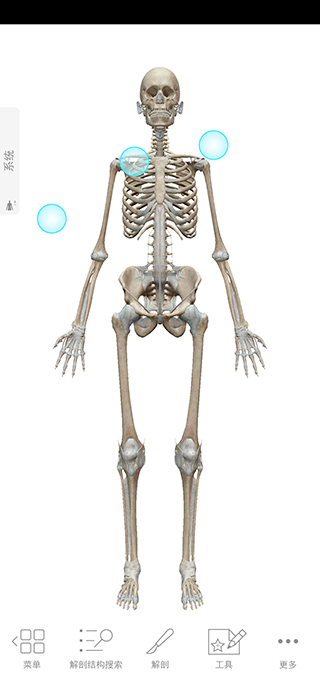 atlas人体解剖学图谱苹果版