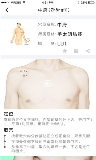 灸大夫经络图解苹果版