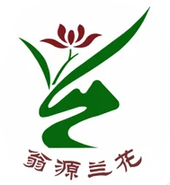 兰韵翁源苹果版