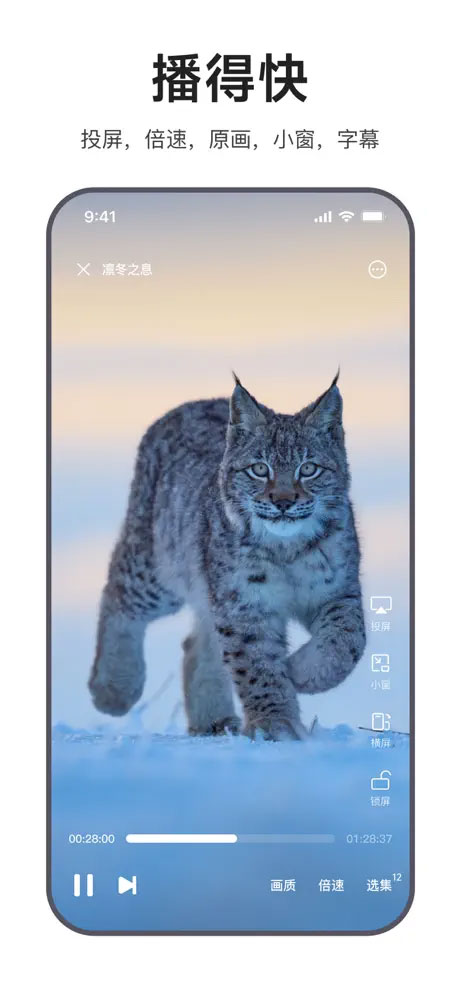 迅雷浏览器苹果版