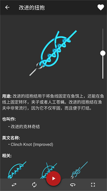 Knots 3D