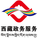 西藏政务ios版