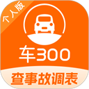 车300大众版