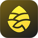 松果出行苹果app