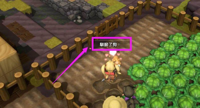 《勇者斗恶龙：创世小玩家2》创世小玩家2狗狗怎么驯服？