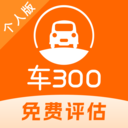 车300二手车ios版