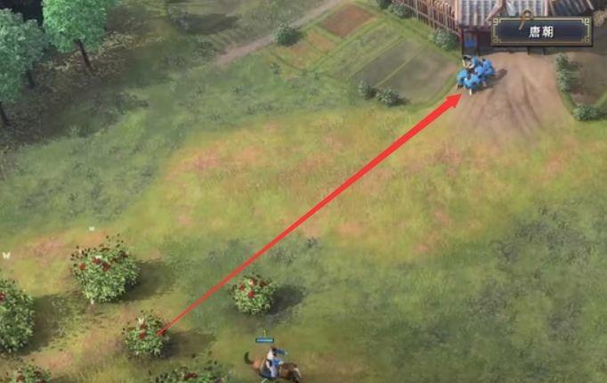 《帝国时代4》开局怎么快速发展？