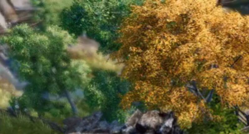 《天命奇御2》猫怎么抓？