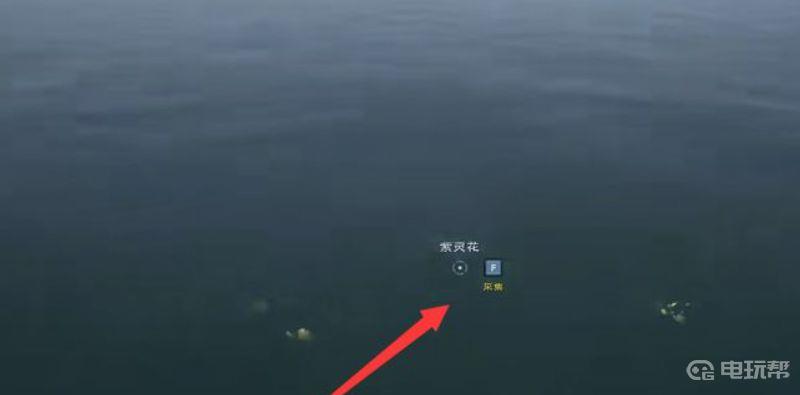 《太荒初境》紫灵花去哪里搞？