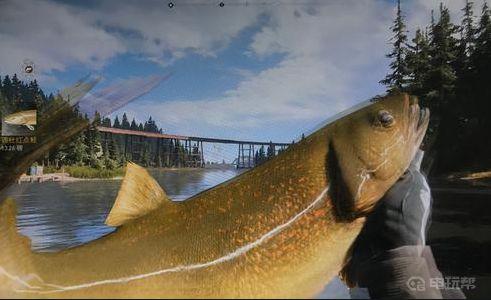 《孤岛惊魂5》怎么钓鱼？