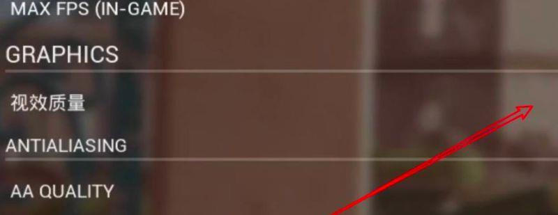 《战术小队》画面特别模糊怎么调？