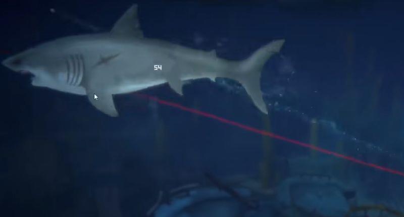 《潜水员戴夫》鲨鱼怎么打？