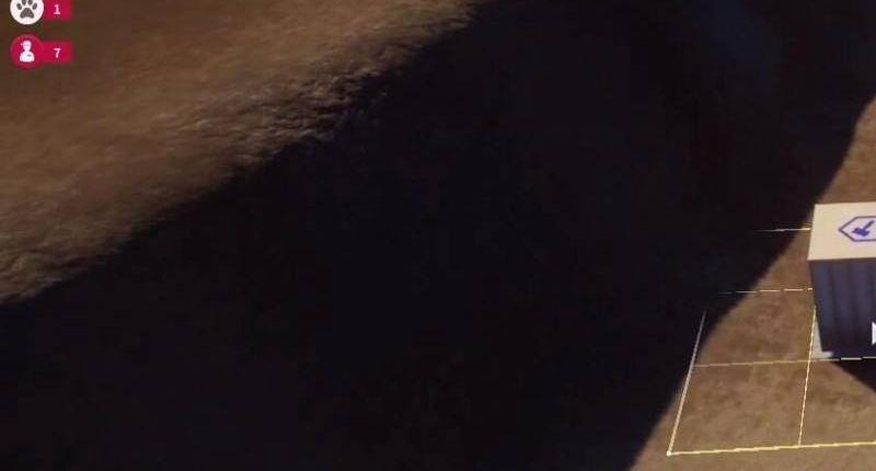 《动物园之星》怎么旋转建筑物？