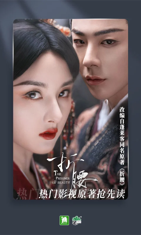 晋江小说阅读iPad版