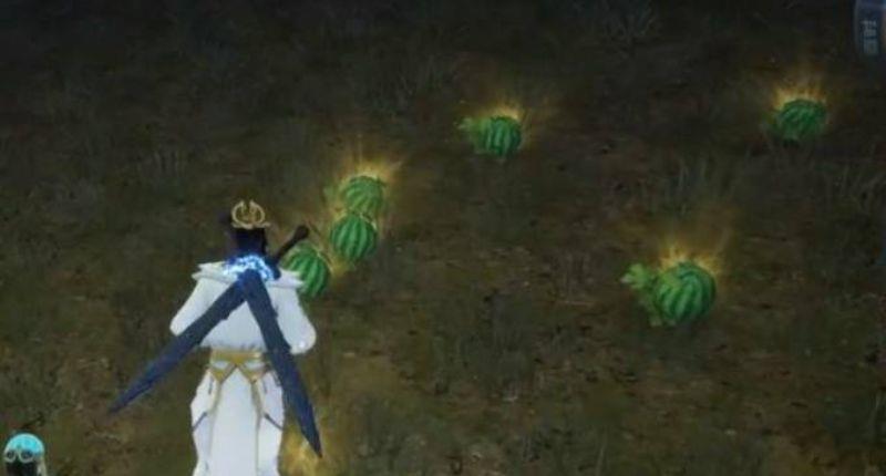 《太荒初境》西瓜在哪里？