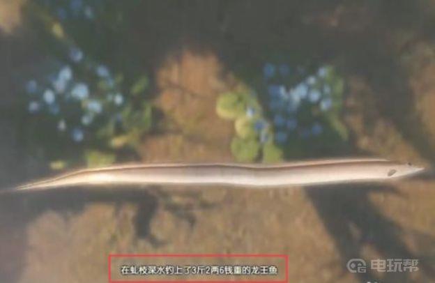 《古剑奇谭3》古剑奇谭三龙王鱼用什么鱼饵？