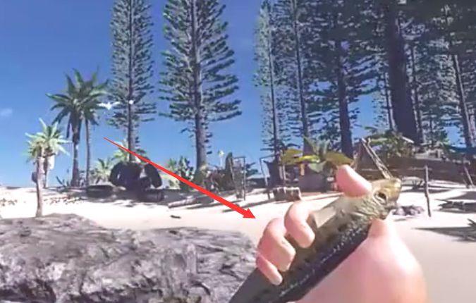 《荒岛求生》钓鱼竿怎么用？