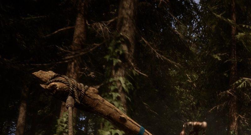 《森林之子》开局怎么玩？