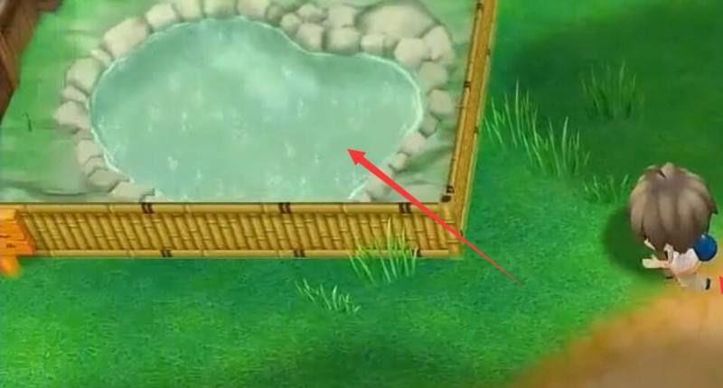 《牧场物语：重聚矿石镇》牧场物语：再会矿石镇鱼塘怎么繁殖？