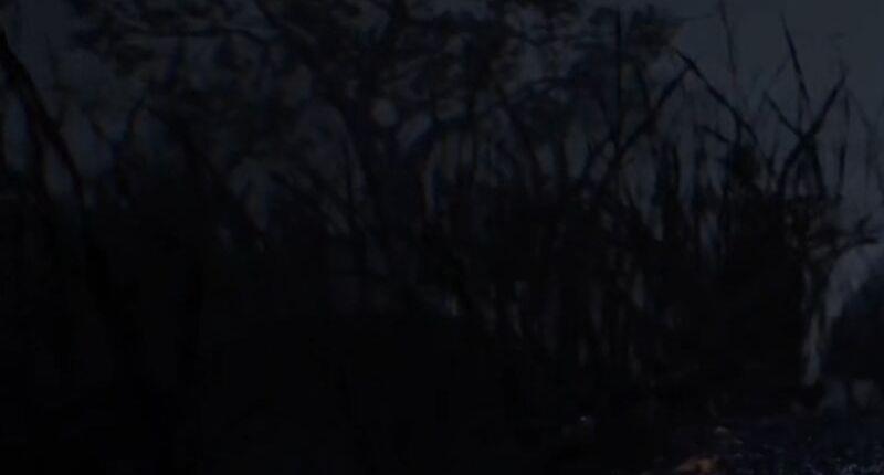 《生化危机7》佐伊的结局是什么？