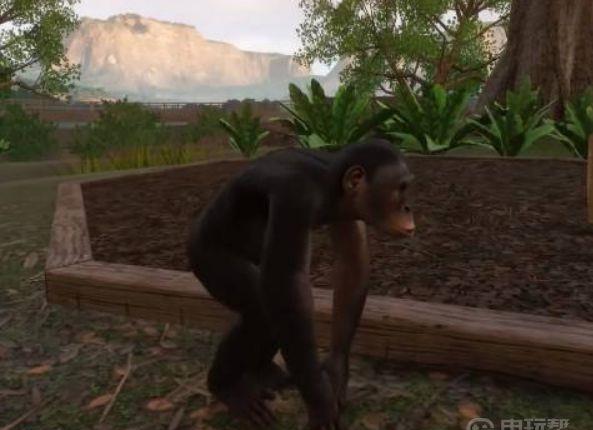 《动物园之星》第二关12个物种都是什么？