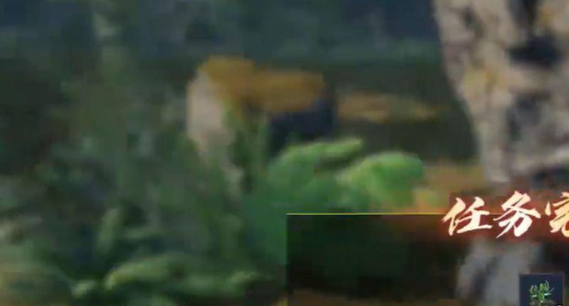 《太荒初境》千载灵蚕在哪里？