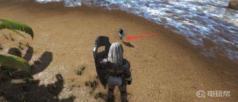 《方舟：生存进化》方舟饲料怎么做？