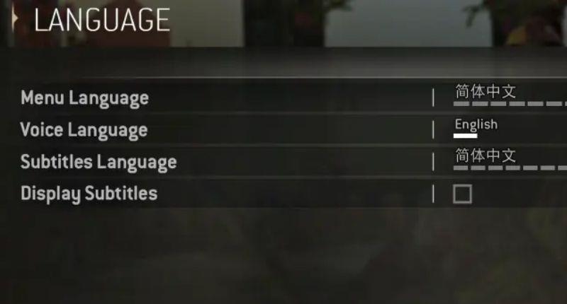 《荣耀战魂》怎么设置中文？