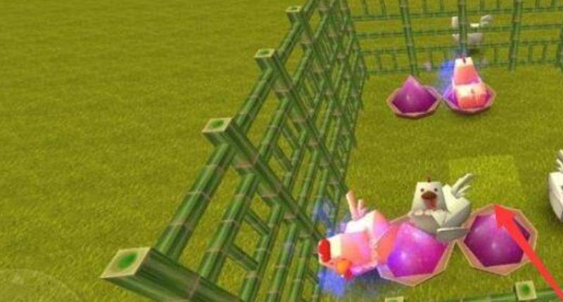《勇者斗恶龙：创世小玩家2》建造者2怎么把鸡关起来？