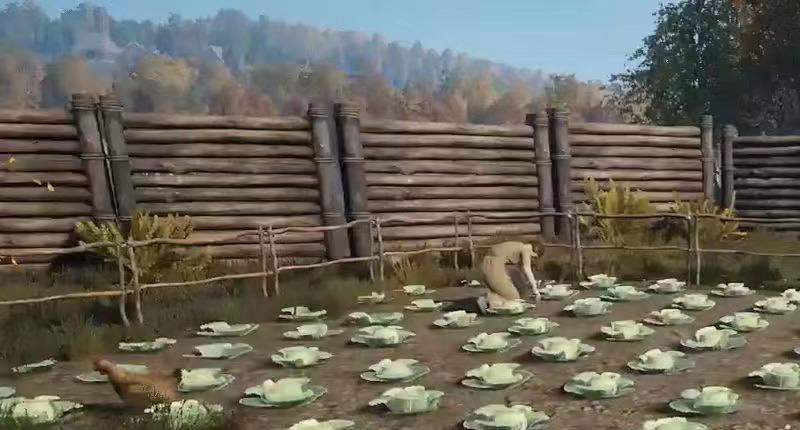 《中世纪王朝》科技点怎么获得？