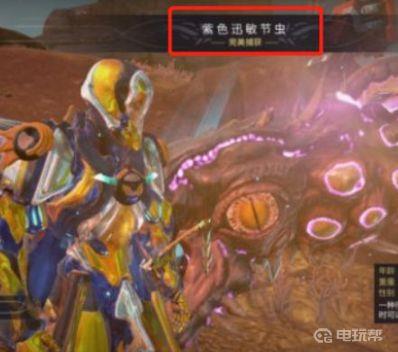 《星际战甲》warframe紫色迅敏节虫怎么抓？