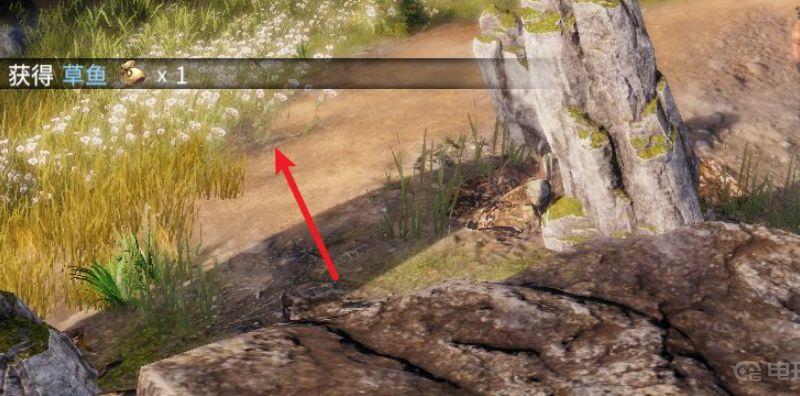 《天命奇御2》怎么钓鱼？