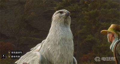 《霍格沃茨之遗》霍格沃茨坐骑怎么解锁？