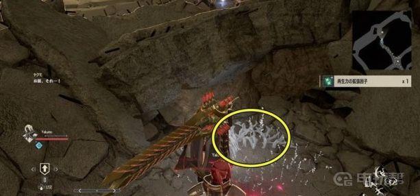 《噬血代码》游戏中全部再生能力扩张因子的位置在哪里？