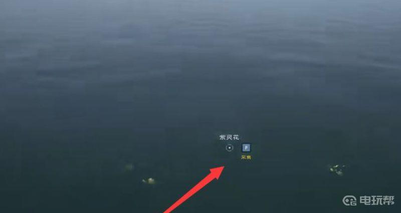 《太荒初境》紫灵花在哪里？