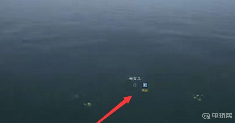 《太荒初境》紫灵花怎么获得？