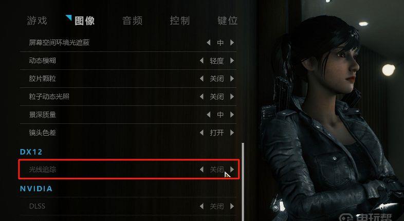 《光明记忆：无限》dx12怎么开？