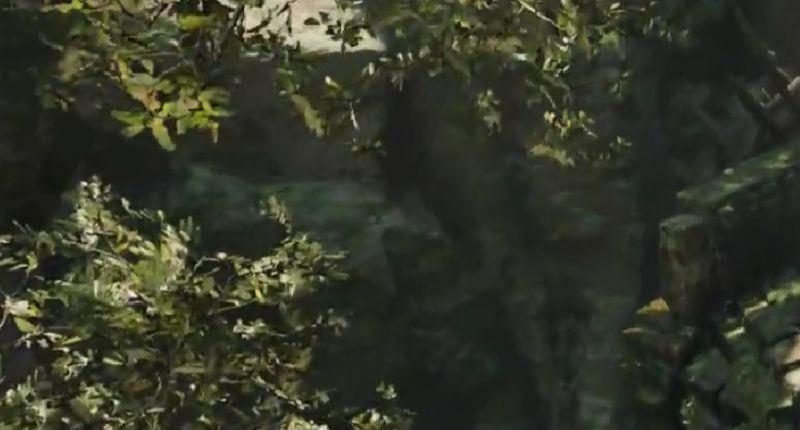 《古墓丽影：暗影》怎么爬下悬崖？