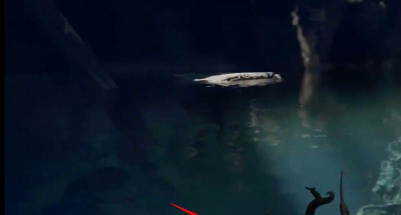 《古墓丽影：暗影》水下宝箱怎么拿？