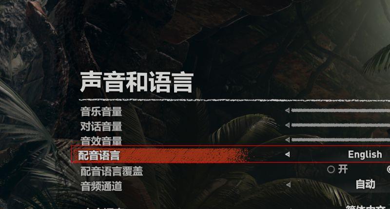 《古墓丽影：暗影》中文配音怎么调？