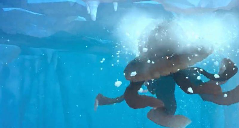 《潜水员戴夫》水母怎么打？