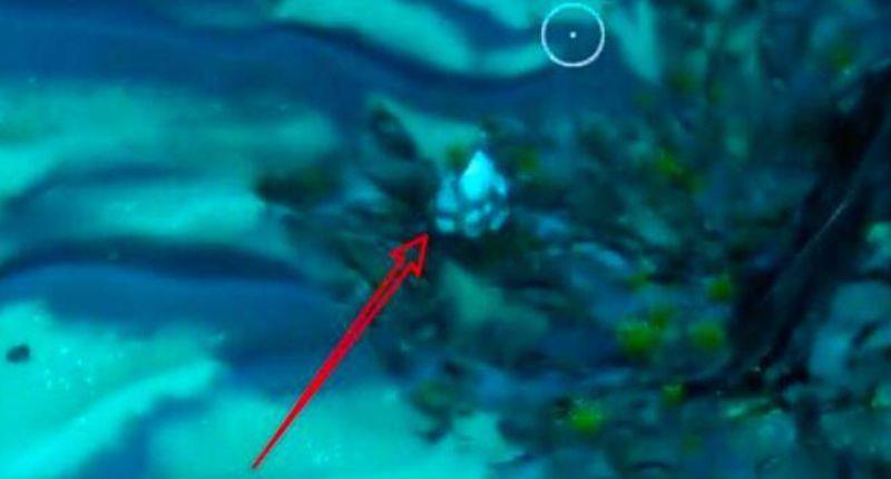 《深海迷航》钻石怎么弄？