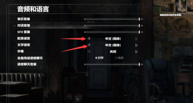 《古墓丽影：崛起》怎么调中文？