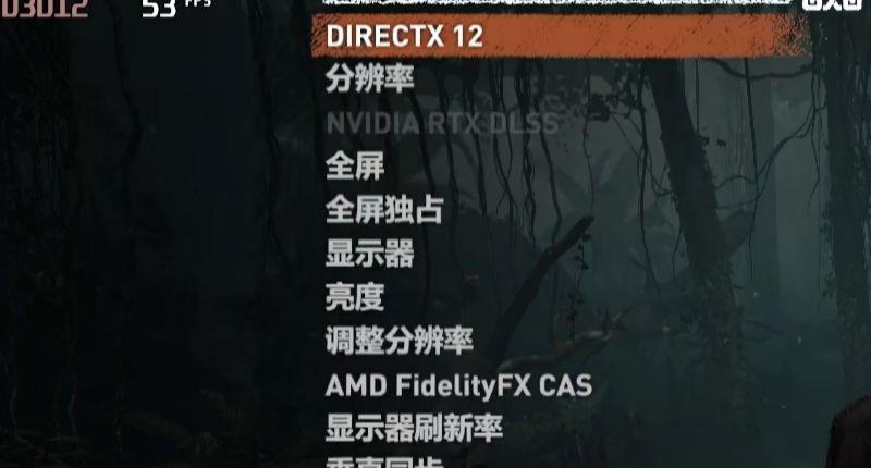 《古墓丽影：暗影》画质怎么设置？