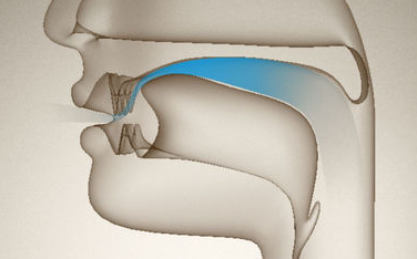 Pho<i></i>netic Cards(语音卡)