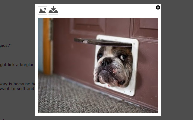 Popups in Reddit Comments